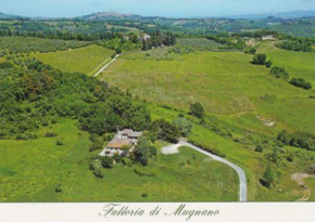 Fattoria di Mugnano